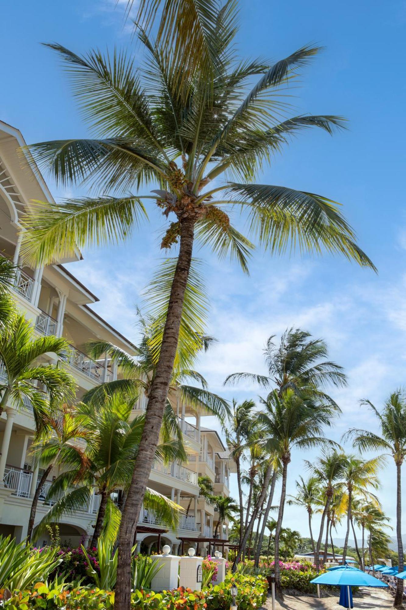 The Landings Resort And Spa - All Suites Gros-Islet Buitenkant foto